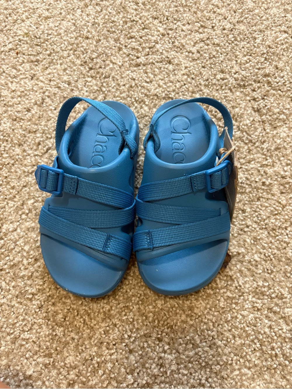 Chaco Kids Classic Sandals in Teal Blue
